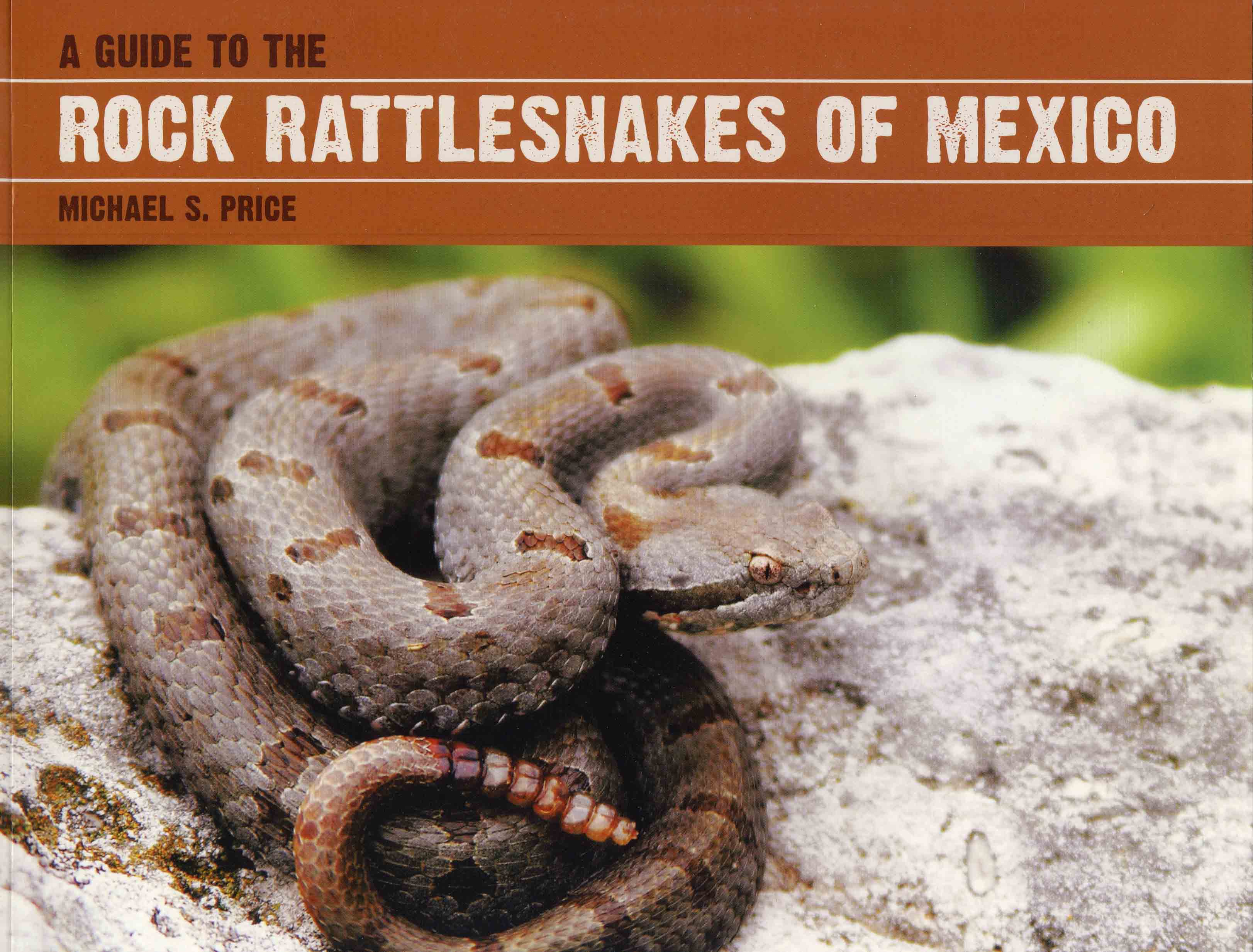 Image for A Guide to the Rock Rattlesnakes of Mexico,