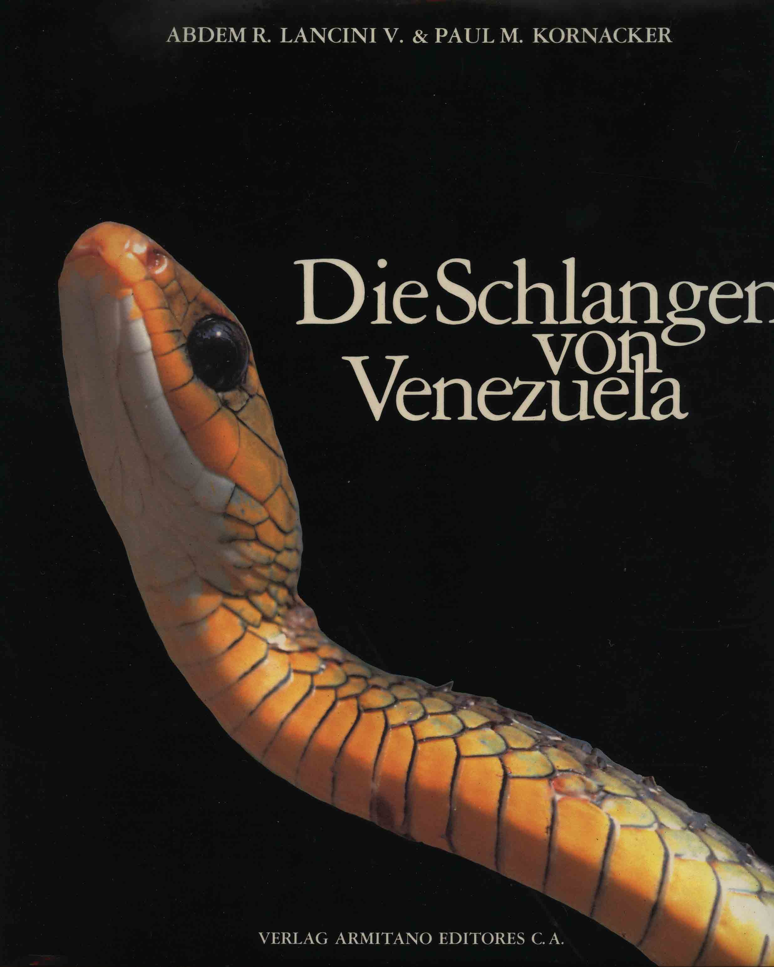 Image for Die Schlangen von Venezuela,