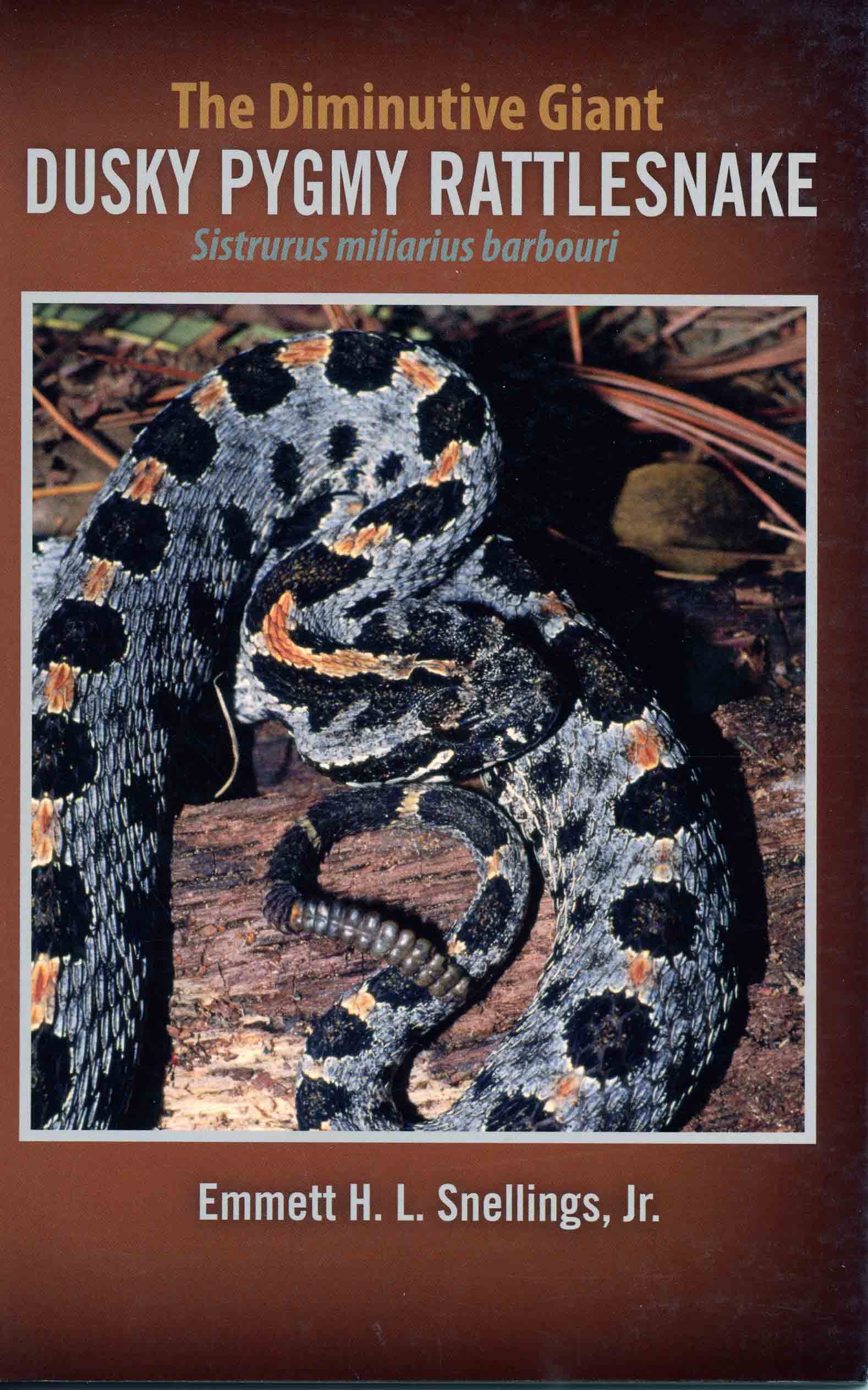 Image for The Diminutive Giant: Dusky Pygmy Rattlesnake Sistrurus miliarius barbouri,