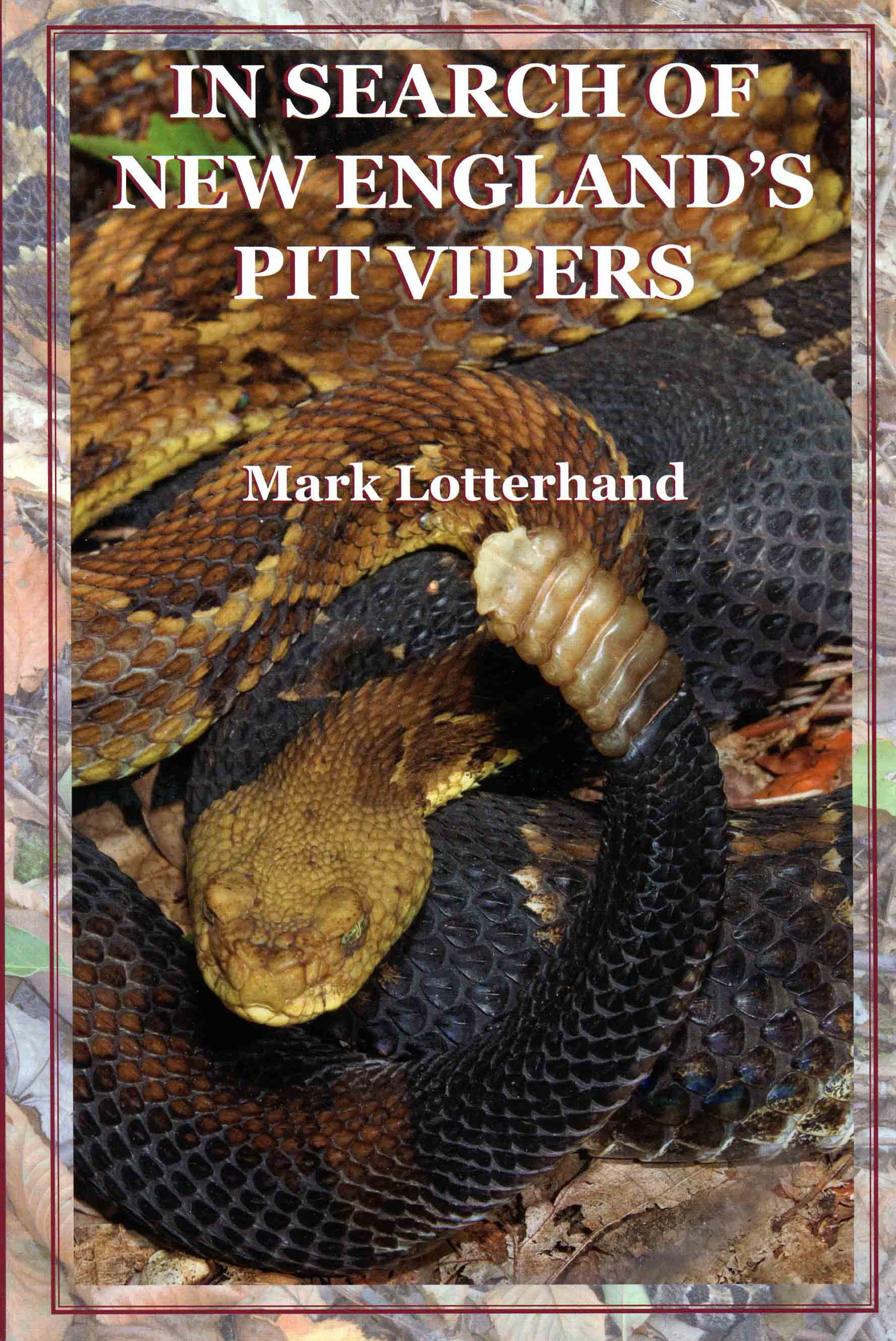 Image for In Search of New England's Pit Vipers,