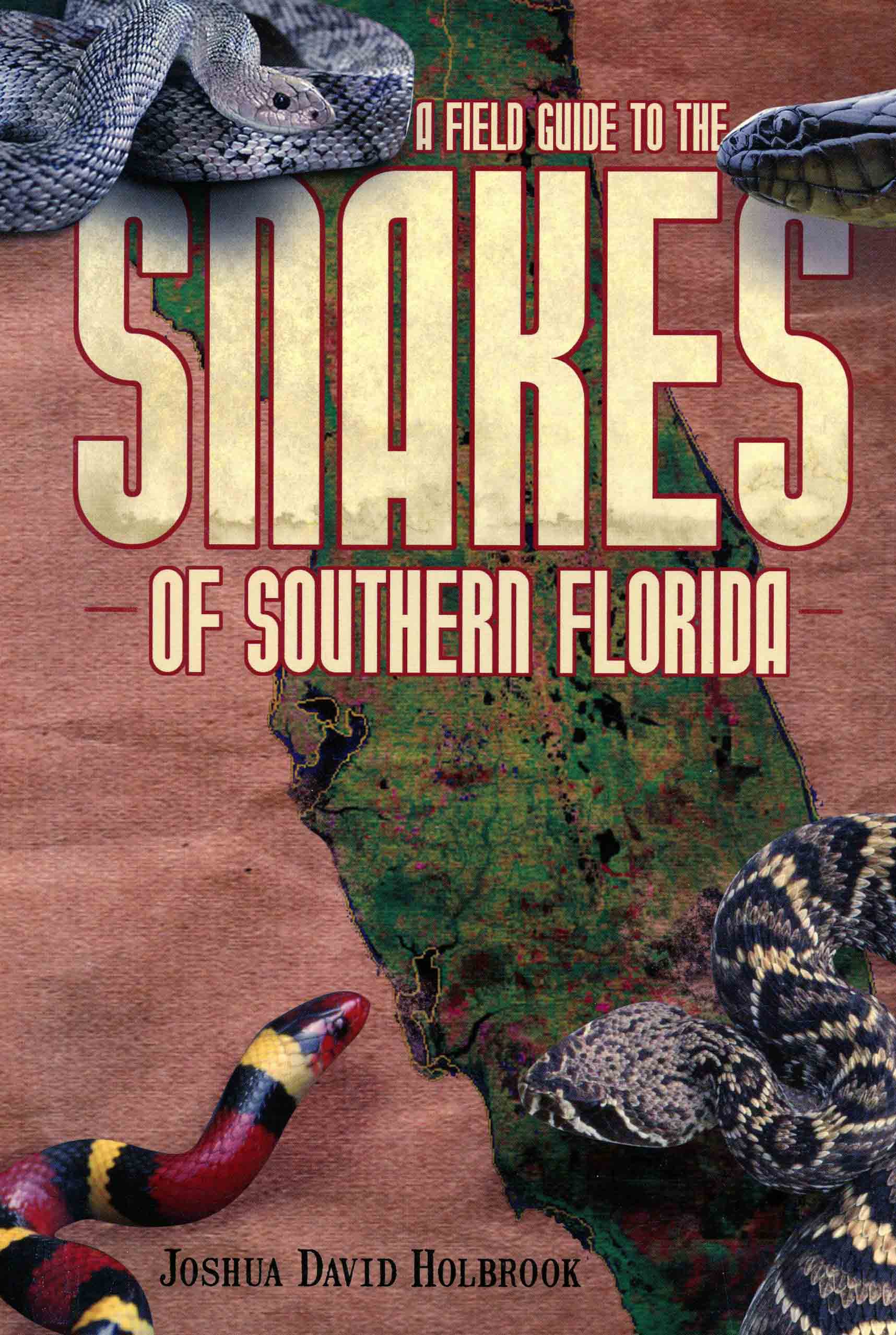 Image for A Field Guide to the Snakes of Southern Florida,