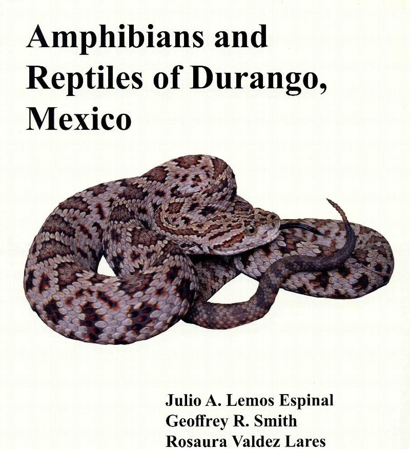 Image for Amphibians and Reptiles of Durango, Mexico,