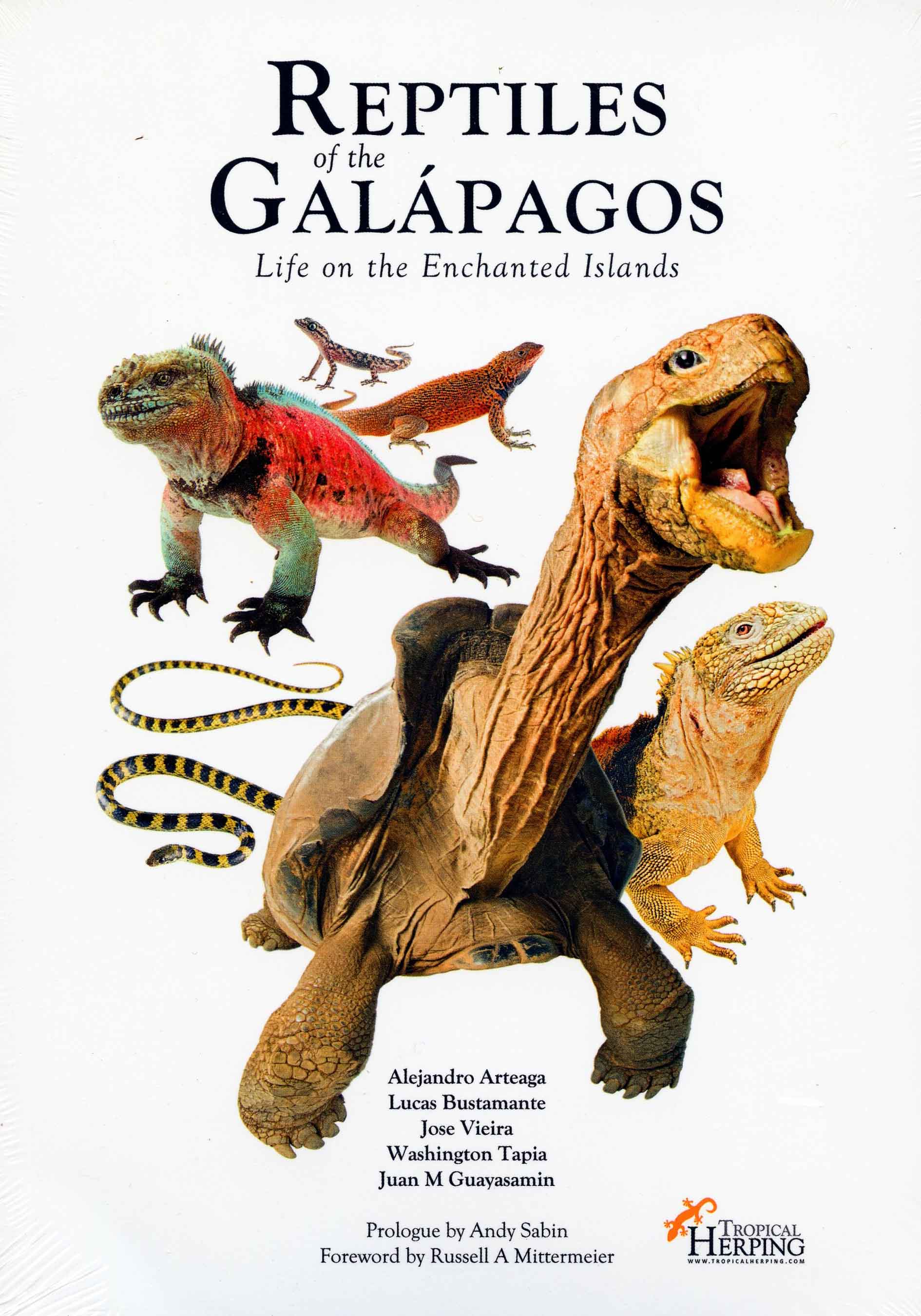 Image for Reptiles of the Galápagos: Life on the Enchanted Islands,