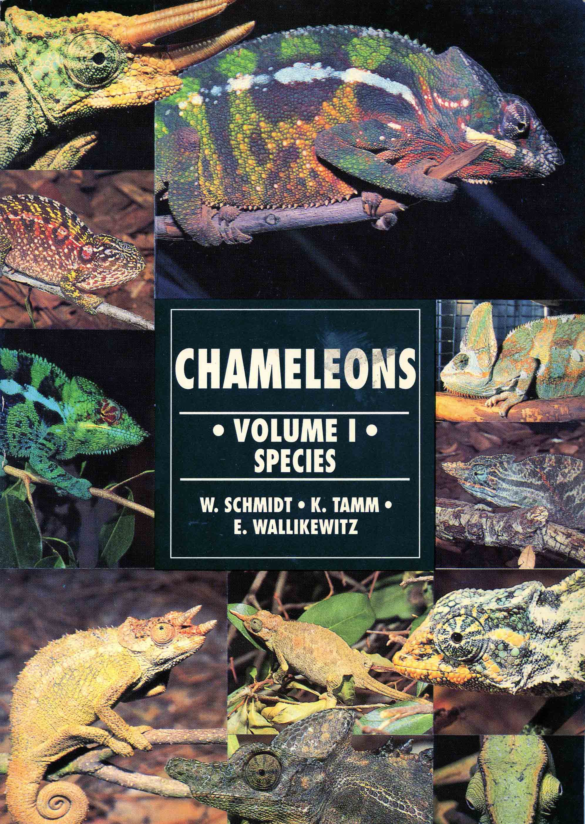 Image for Chameleons, Volume 1, Species