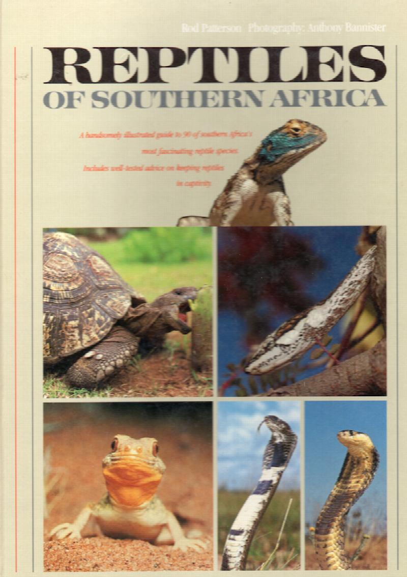 Image for Reptiles of Southern Africa