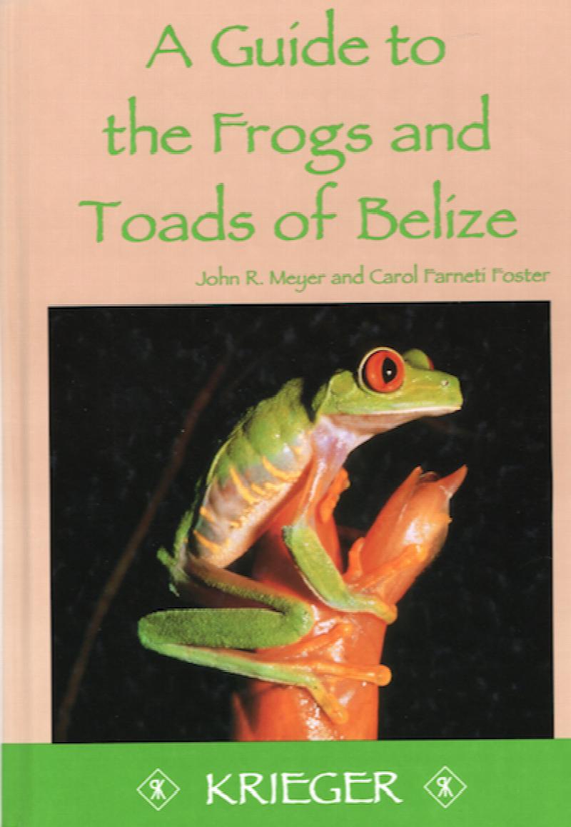 Image for A Guide to the Frogs and Toads of Belize