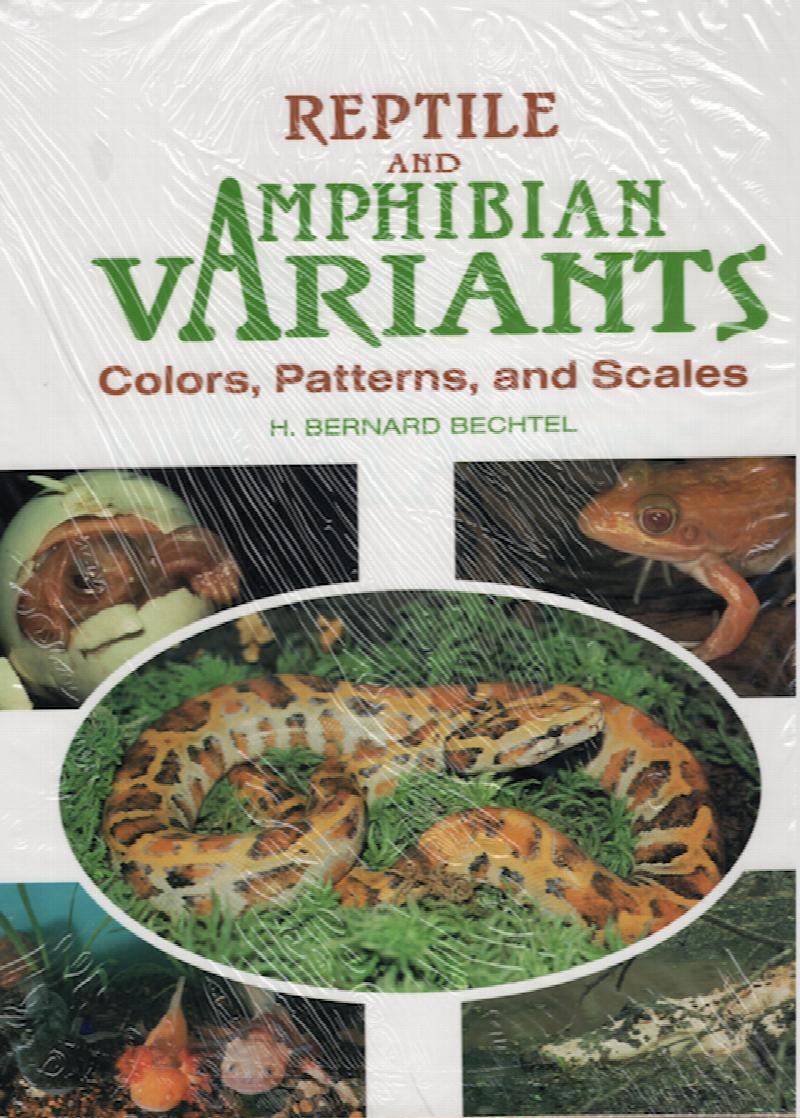 Image for Reptile and Amphibian Variants: Colors, Patterns, and Scales