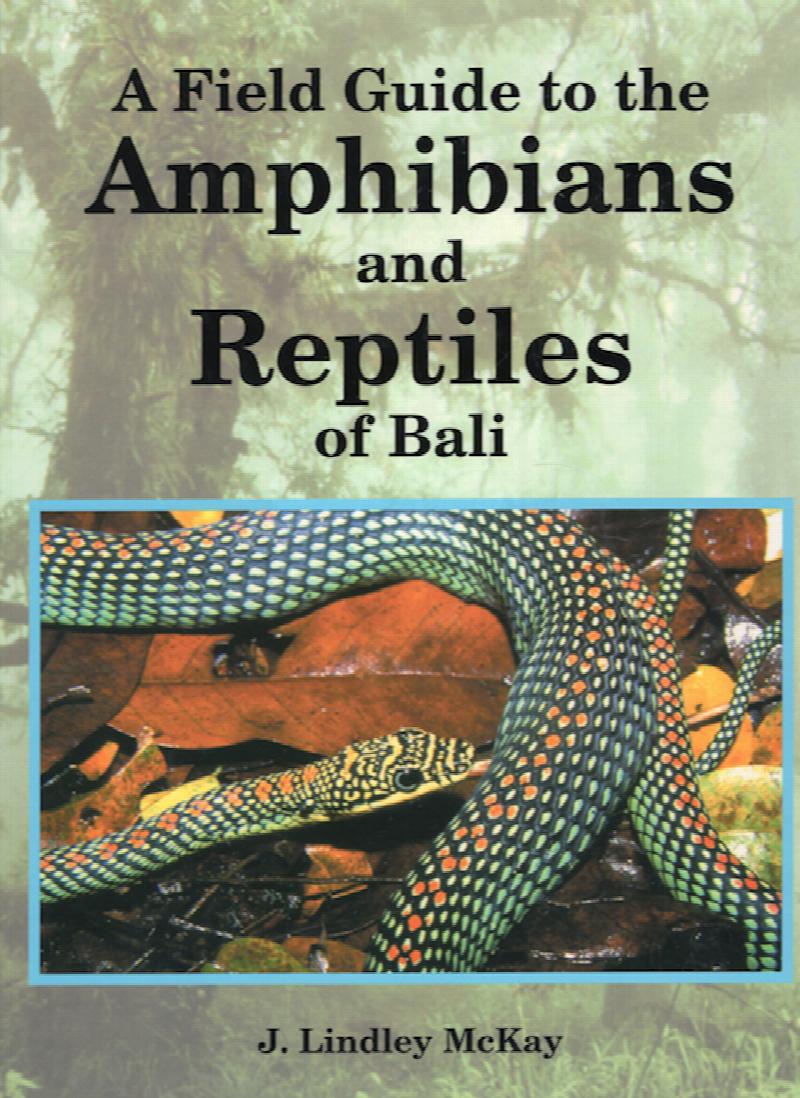 Image for A Field Guide to the Amphibians and Reptiles of Bali
