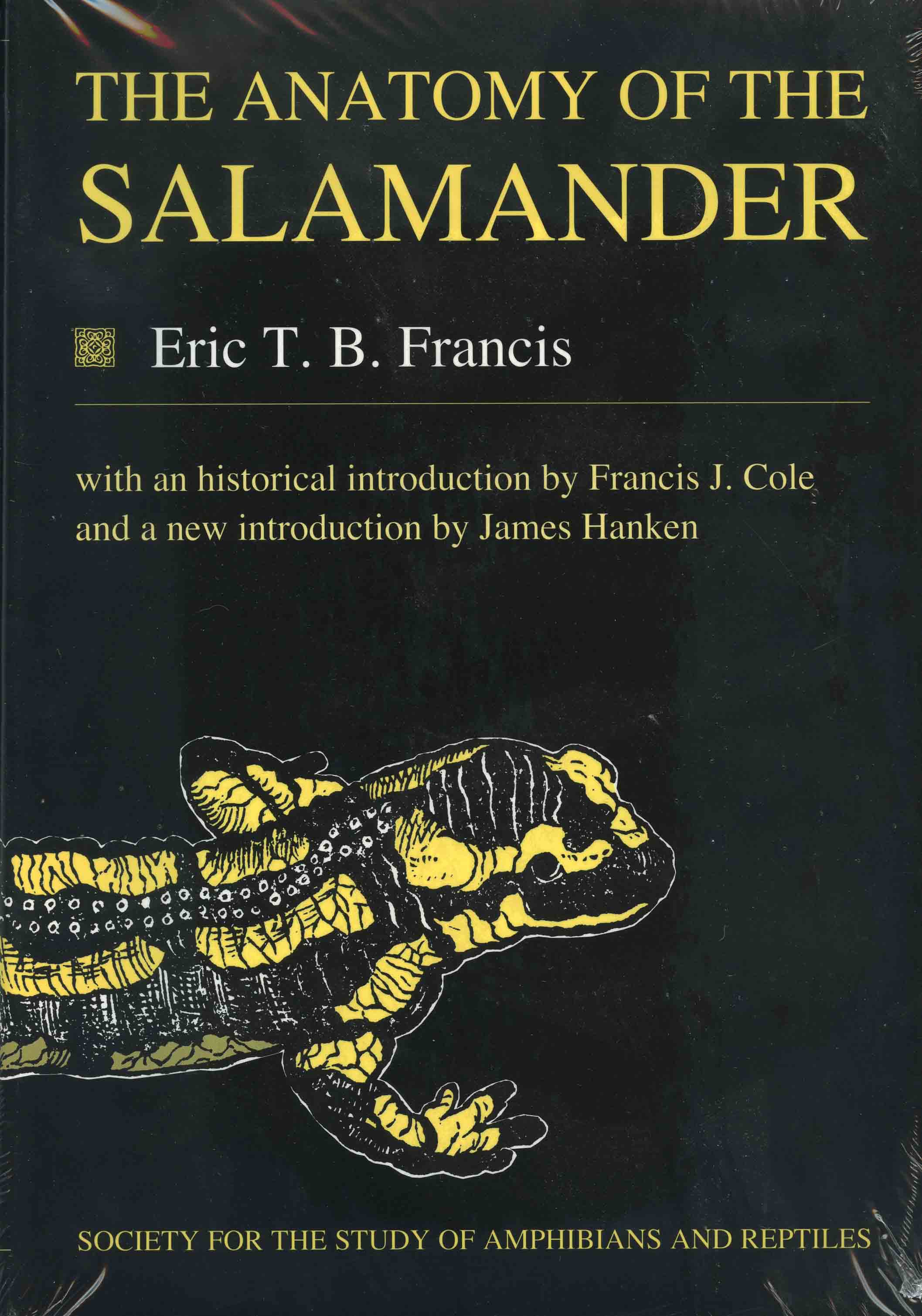 Image for The Anatomy of the Salamander,