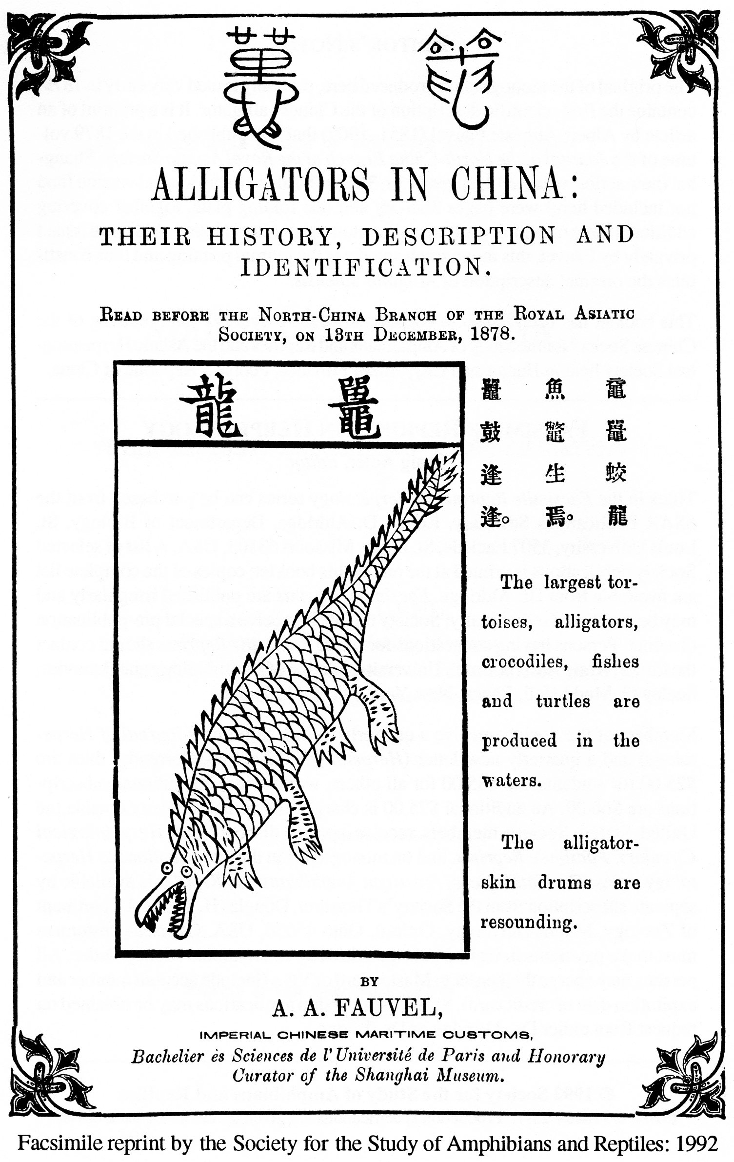 Image for Alligators in China: Their History, Description and Identification.