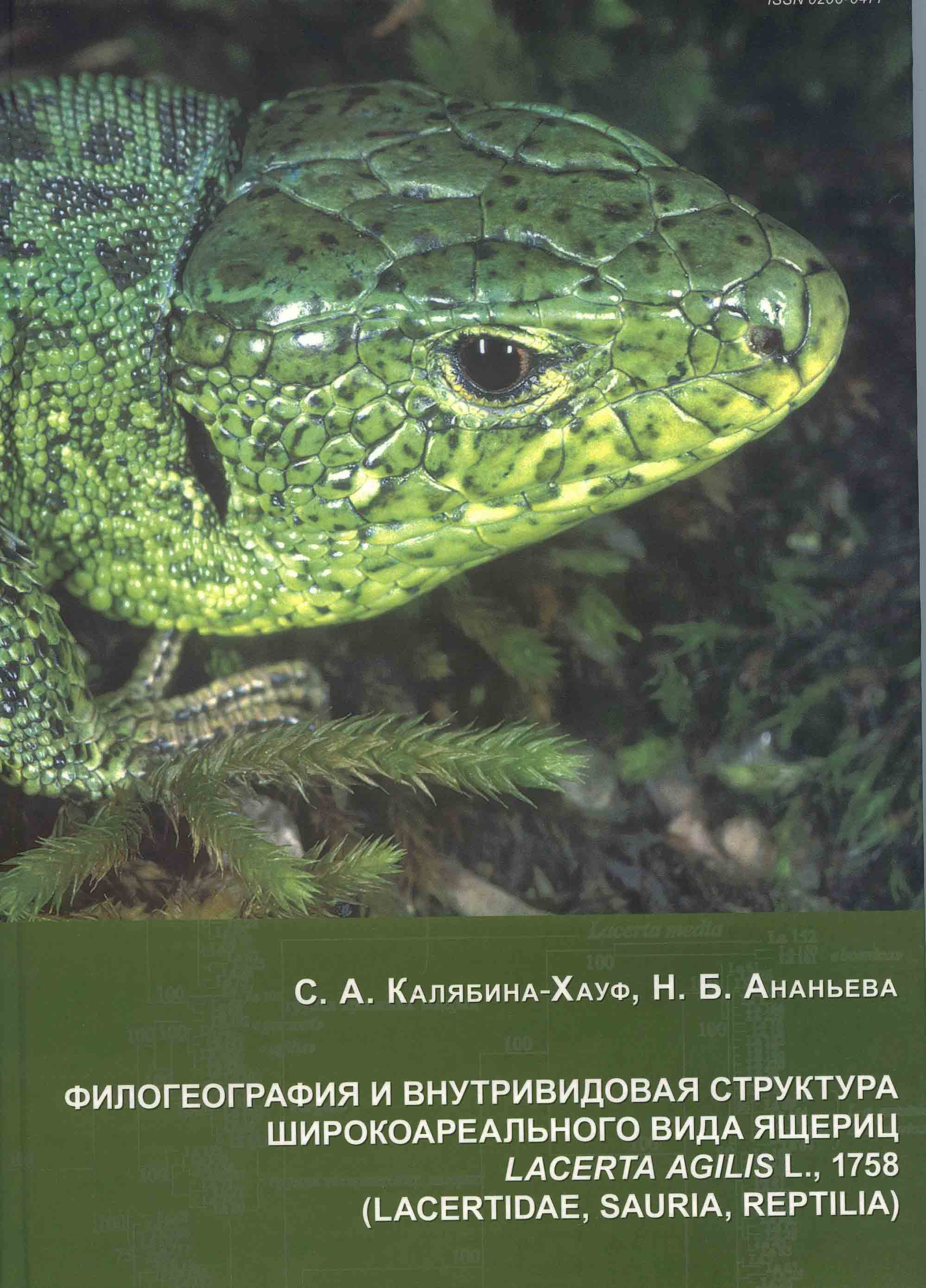 Image for Phylogeography and Intraspecies Structure of the Widely Distributed Sand Lizard, Lacerta agilis L., 1758 (Lacertidae, Sauria, Reptilia: A Case Study of the Mitochondrial Cytochrome b Gene