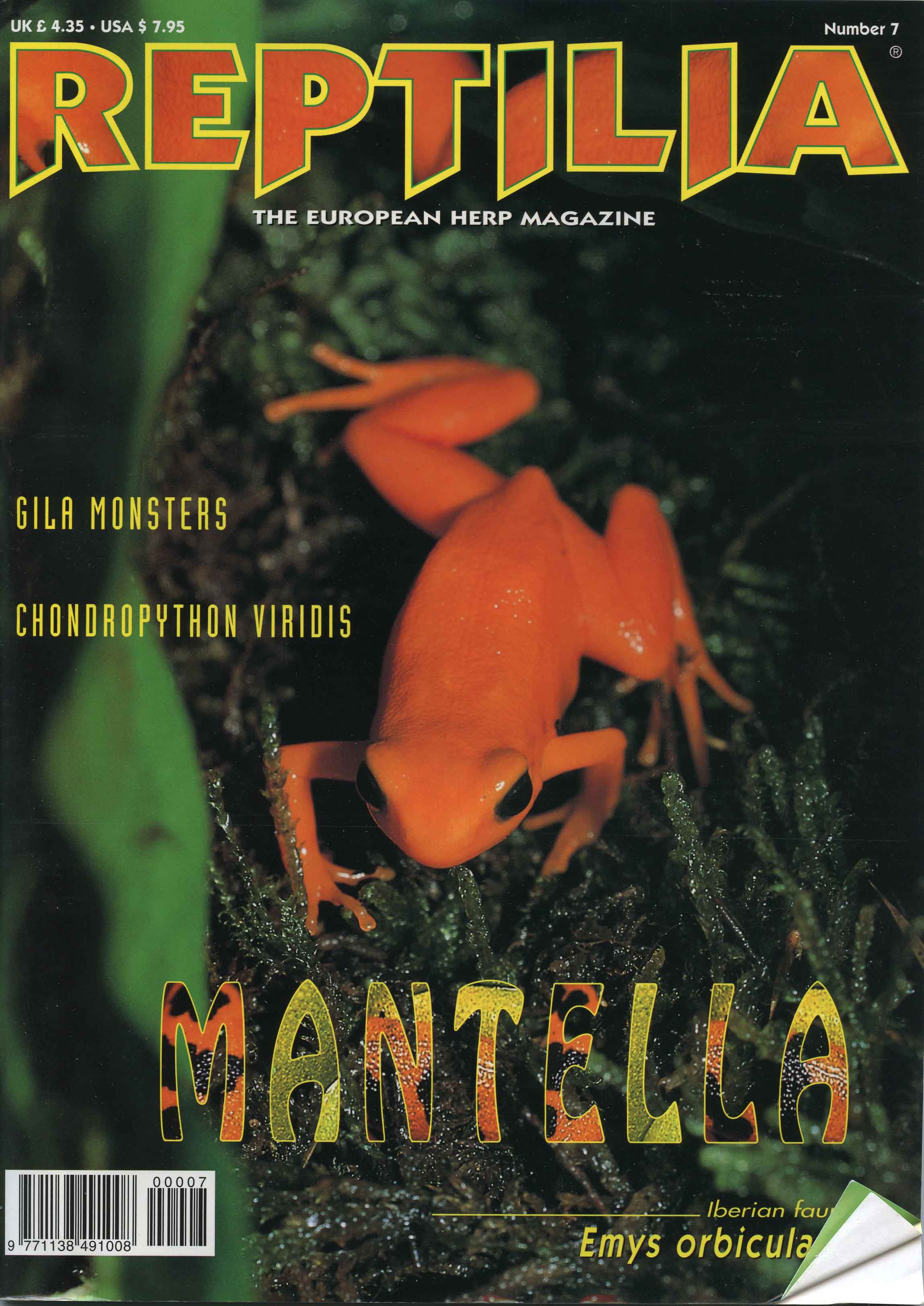 Image for Reptilia, Number 7,