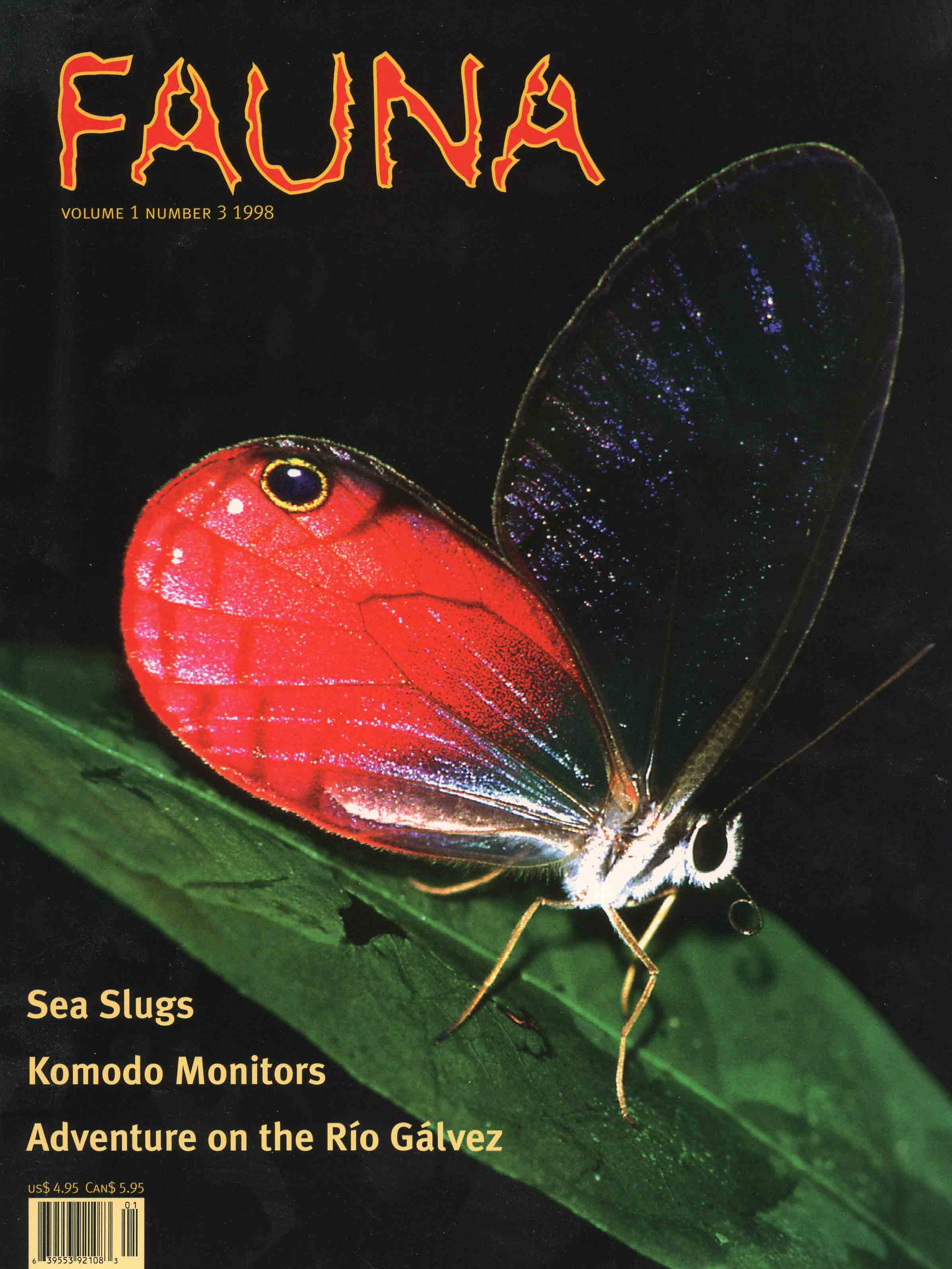 Image for Fauna, Volume 1, Number 3,