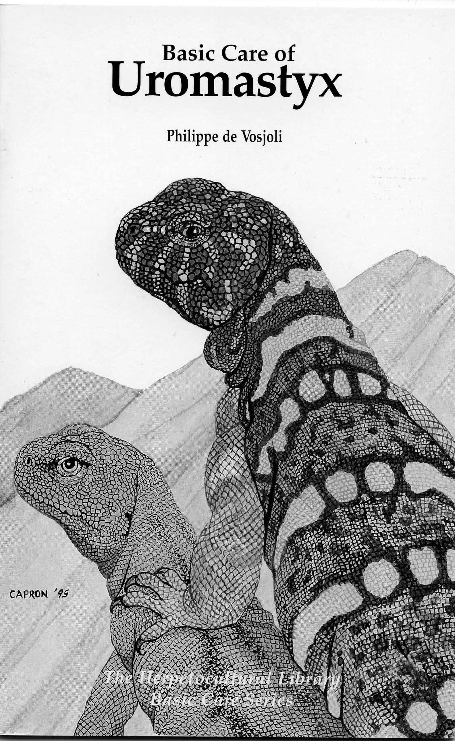 Image for Basic Care of Uromastyx
