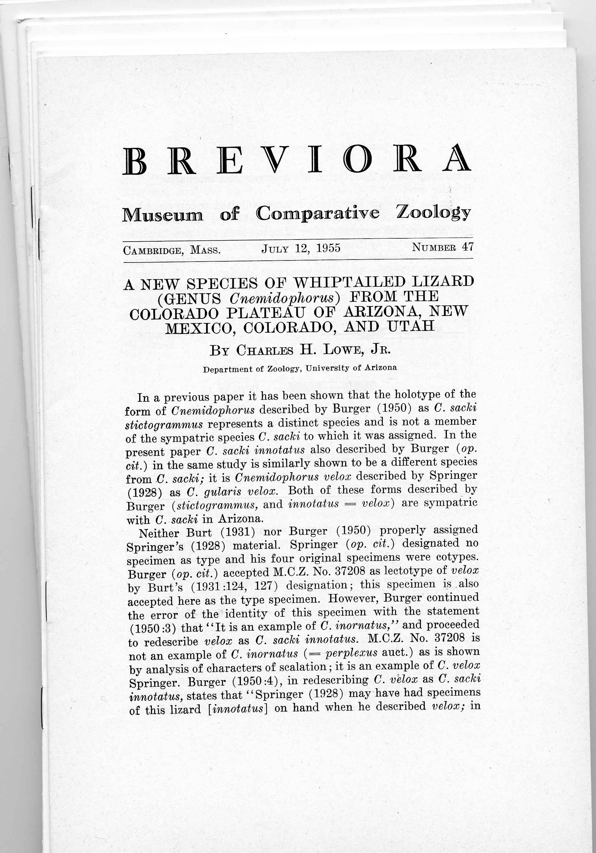 Image for Bundle #1 (Breviora),