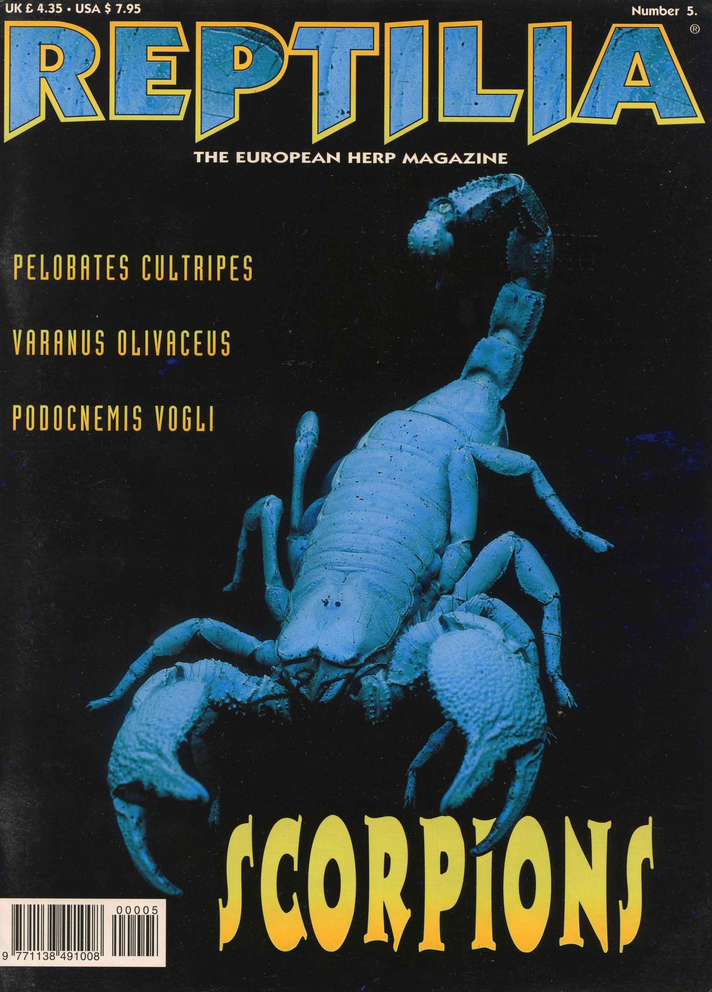 Image for Reptilia, Number 5,